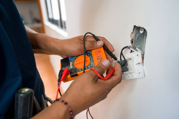 Best Electric Panel Repair  in Somonauk, IL