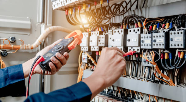 Best Licensed Electrician  in Somonauk, IL