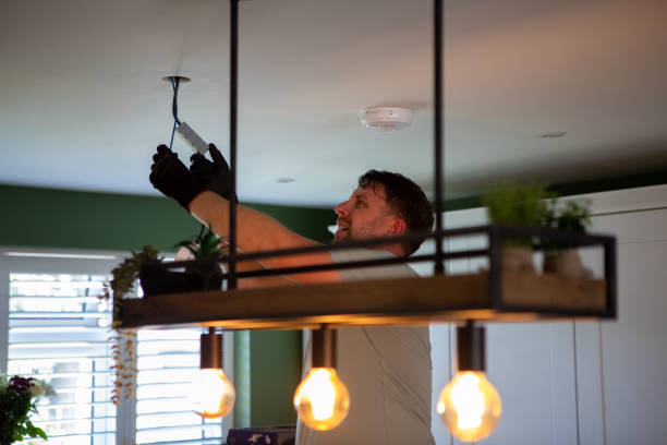 Best Electrician Near Me  in Somonauk, IL