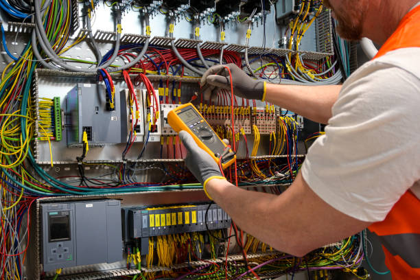 Best Electrician for Home Renovation  in Somonauk, IL