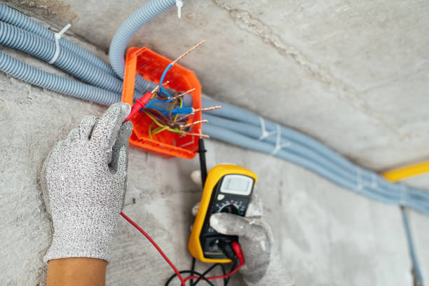 Best Circuit Breaker Repair  in Somonauk, IL